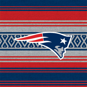 NFL New England Patriots Trailblazer Wii (Includes 1 Controller) Skin
